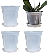 Amazon.co.jp: 植木鉢 6号 プラスチック 鉢 透明 底皿付き 観葉植物 Amazon.co.jp: 植木鉢 6号 プラスチック 鉢 透明 底皿付き 観葉植物